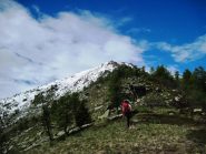 Verso la cima (e la neve)