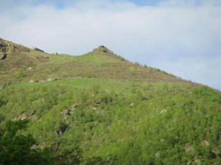 L' övvia