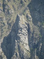 Da Cima Lasin, zoom sulla Guglia del Frate