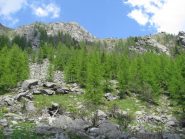 Bocchetta del Pianei, dal Ciavanis
