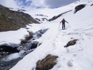 Nella parte sfondosa