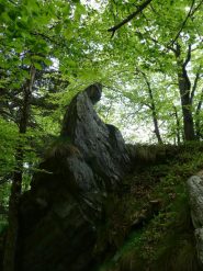 Capriccio della natura o opera degli antichi ?
