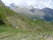 Verso Monte Colombo dal colle