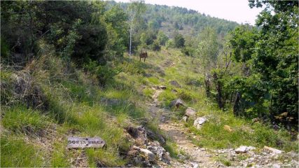 fine sentiero discesa