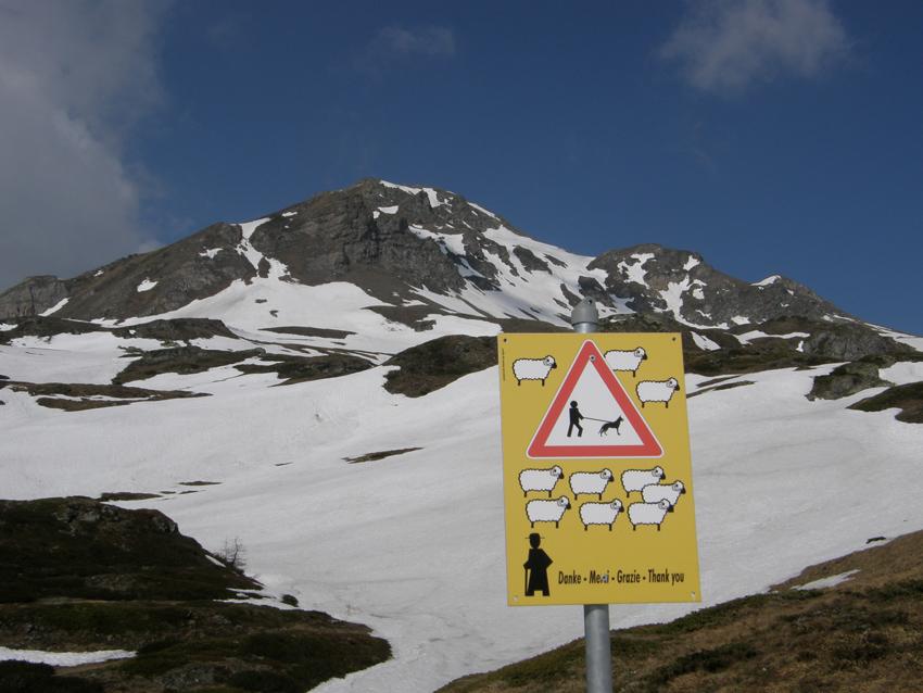 Un curioso cartello e sullo sfondo il Magehorn