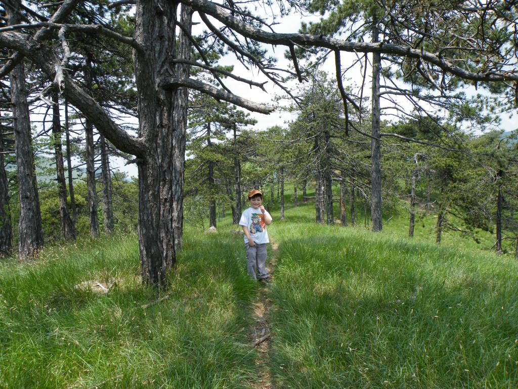 salendo al monte moro