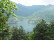 lago bruno