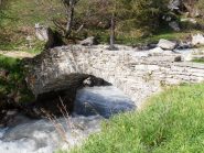 Il Ponte Pelvo
