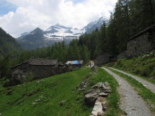Alpe Restoly