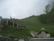 una parte dell'alpe Piazzeno