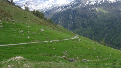 Dal bianco al verde.....