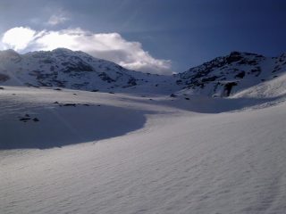 rognosa