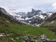 Il verde avanza