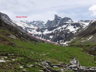 Il verde avanza