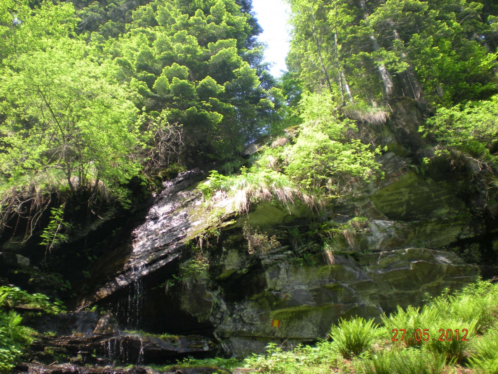 lussureggiante vegetazione salendo la valle piccola