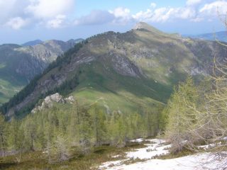 ultimi larici con veduta M.Fantino