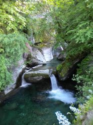 Rio Vallongo dal ponte romanico di Verne'