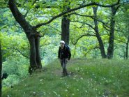 Chiudendo l'anello poco prima del Ponte romanico di Chironio