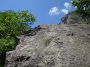 otaner su mellow yellow