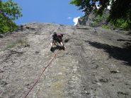 block65 su serpente bianco