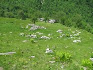 Alpe Piantaià dall'alto