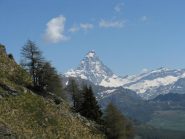 sua maestà il Cervino