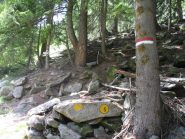 il bivio con l'ometto in pietra,si sale a destra....