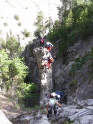 Oltre il fungo magico