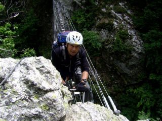 Il ponte molto...oscillante