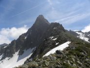 Monte Frisson