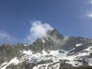 solo al ritorno si mostra , in posa perfetta per la foto !