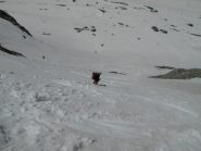 discesa sul glacier noir