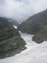 Cavalla nera dal basso