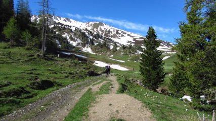 salendo verso la Cresta della Dormillouse (2-6-2012)