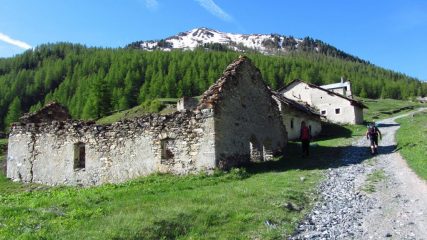 passando nei pressi delle Grange Chabaud d'Aral (2-6-2012)