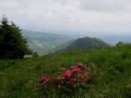 Verso la pianura