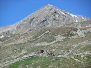 Monte Robinet