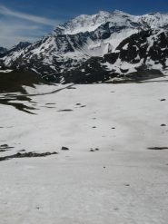 ultimissime curve all'alpe agnel