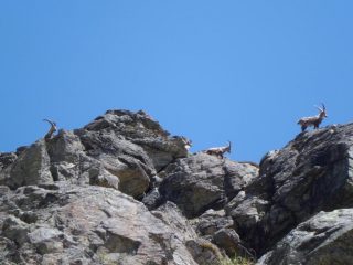 incontri ravvicinati 