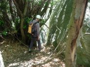 In discesa, all'imbocco del canyon