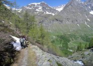 superato il tratto boschivo,inizia il vallone Vaudalettaz....