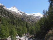 03 - vista inusuale, da Nord-Ovest su Denti d'Ambin e Rocca d'Ambin