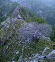 altro scorcio dalla vetta 