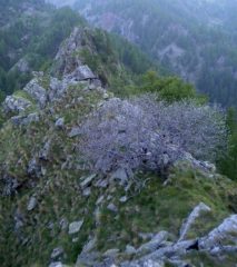 altro scorcio dalla vetta 