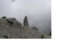 Il grosso ometto naturale...