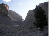 Il Vallon Froid con il suo albero solitario...