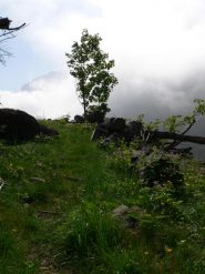 Appena sopra al Valasco