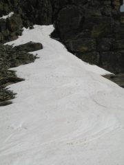 GUGULENJI SOTTO LE CADREGHE