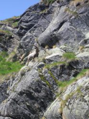 appena fuori dal bosco...iniziamo bene!!!