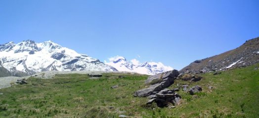raggiunta l'alpe Meyes,estesi panorami ed animali ovunque...